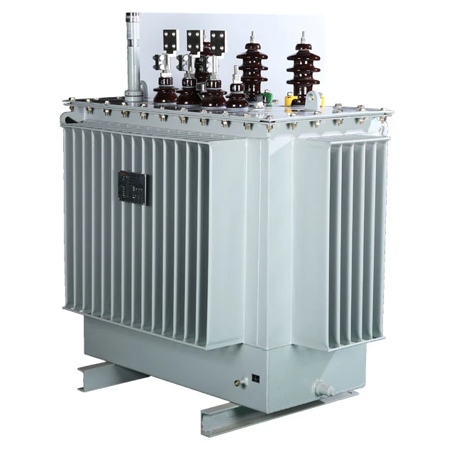 oil immersed transformer (2)