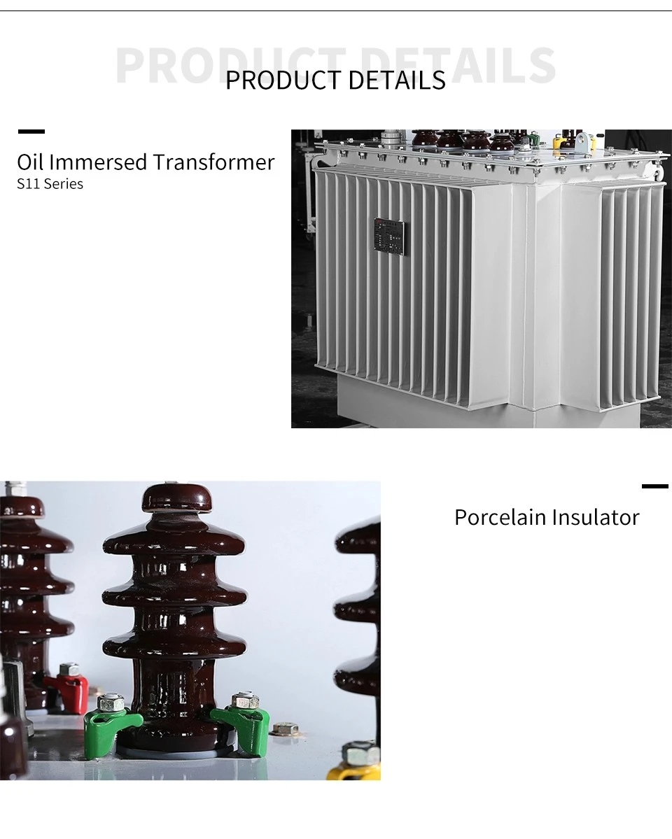 DETAILES-oil immersed transformer